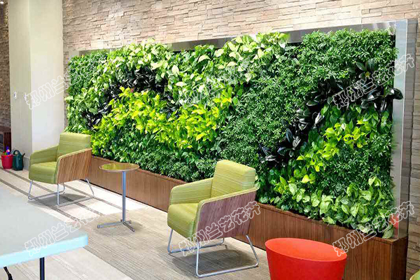 室内植物墙设计