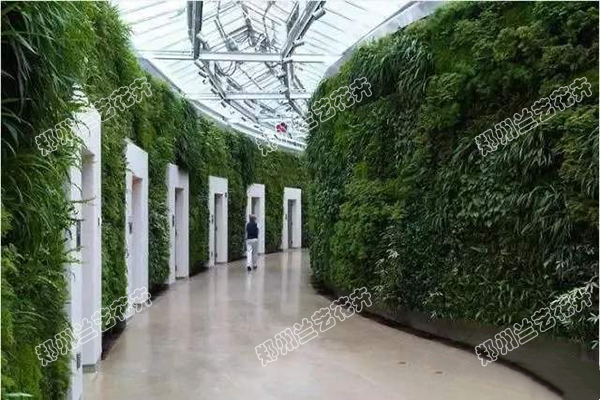 室外植物墙设计