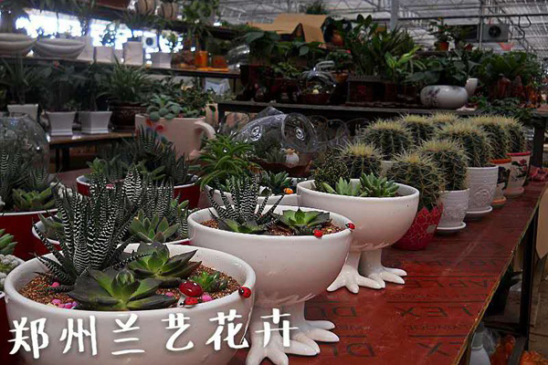 花卉绿植销售