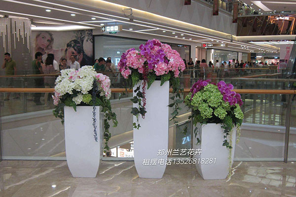 花卉组合造景