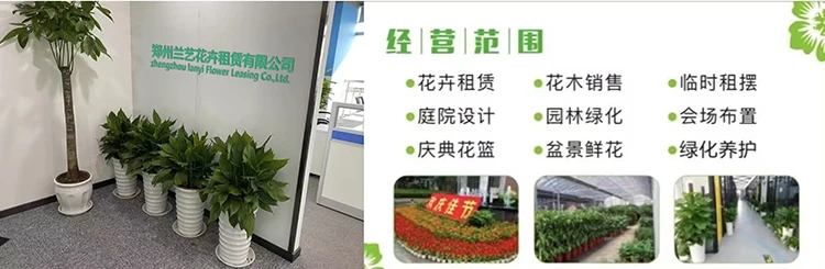 微信图片_20240823154116.jpg 微信图片_20240823154116.jpg