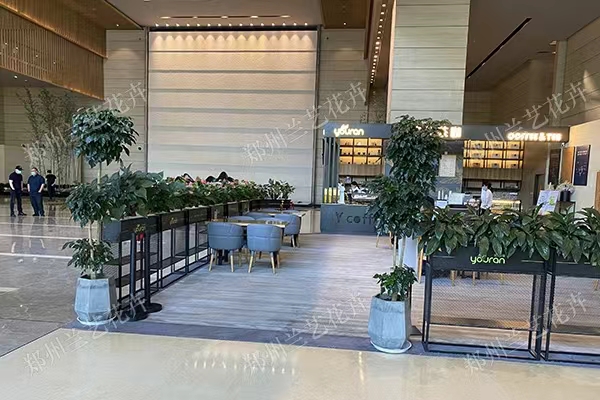 郑州租花