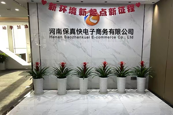 郑州办公室租盆栽